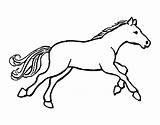 Caballito Cavallo Cavall Cavalo Pintar Colorare Pequeno Piccolo Dibuix Disegno Dibuixos Acolore sketch template