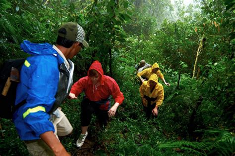 10 kỹ năng sinh tồn trong rừng nhiệt đới ⋆ cẩm nang sinh tồn