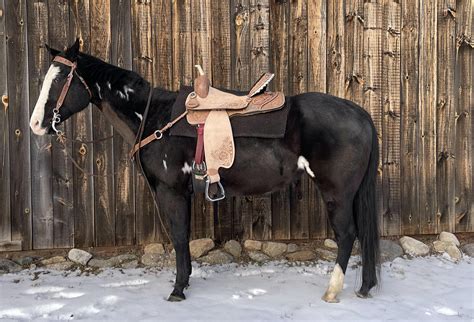 western saddles  comfortable