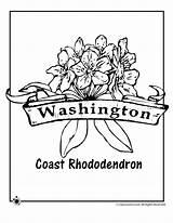 Washington Flower Coloring State Pages Rhododendron Popular Coast Printables Print Activities sketch template