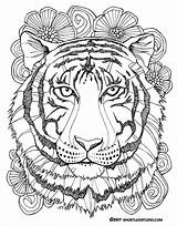 Tiger Fauna Flora Tigers Mandalas April Lion Zentangle Stencil Cubs sketch template