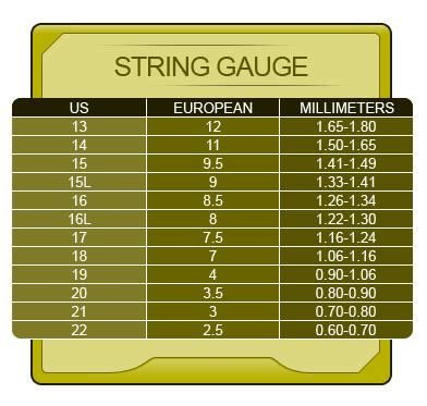 apb stringers types  tennis strings explained