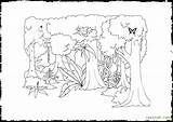 Rainforest Coloring Pages Layers Amazon Plants Drawing Tree Printable Getcolorings Animals Print Getdrawings sketch template