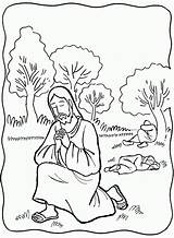 Coloring Gethsemane Praying Misterios Prays Tempted Colorear Dolorosos Crucificado Azotado Addition Oraciones Rosario Physics Solve Tutor Coloringhome Clipground sketch template