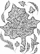 Seasons Coloring Pages Four Dover Welcome Publications Drawing Color Getdrawings Haven Deluxe Edition Creative Getcolorings Visit Printable sketch template