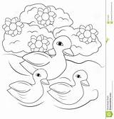 Pond Coloring Swimming Kids Ducks Illustration sketch template