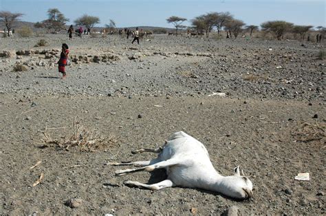 ethiopia drought takes terrible toll