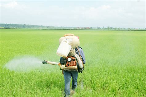 epa announces tougher rules  protect farm workers  pesticide poisoning organic food news