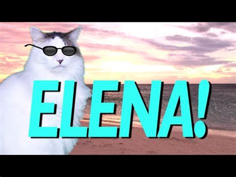 happy birthday elena epic cat happy birthday song youtube