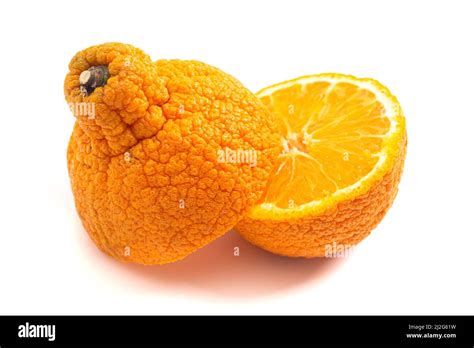 cut sumo orange isolated   white background stock photo alamy