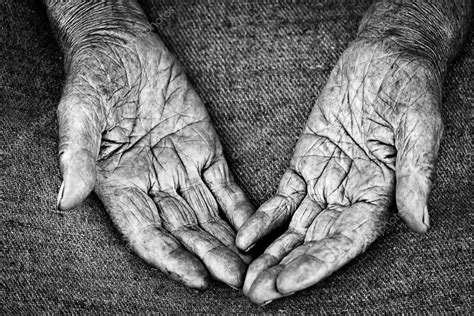 woman hands stock photo  yuroka