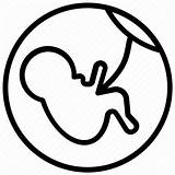 Womb Unborn Motherhood Clipartmag sketch template