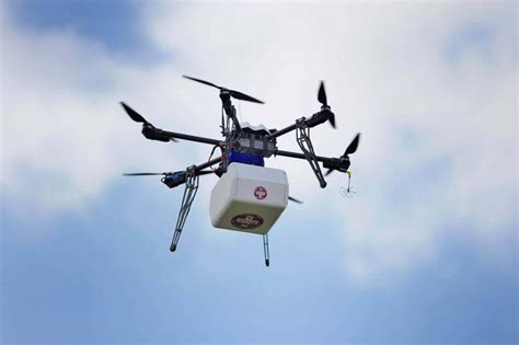 oasis muslo los padres de crianza achat drone tierra cerdo se convierte en