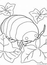 Coloring4free Arrietty Coloring Printable Pages Related Posts sketch template