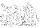Fantastic Beasts Potter Harry Creatures Magical Kuabci Drawings Deviantart 2005 Miscellaneous sketch template