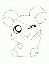 Coloring Cute Pages Hamster Print sketch template