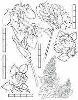 Fairy Garden Coloring Pages Rosetta Getcolorings Getdrawings sketch template
