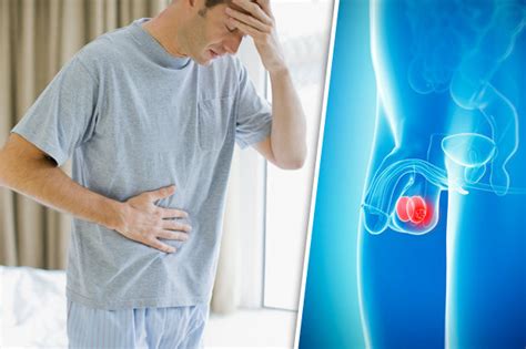 testicular cancer symptoms 10 silent signs you should never ignore daily star