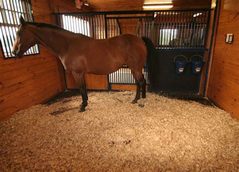 comfortable  healthy straw pellets  horse bedding