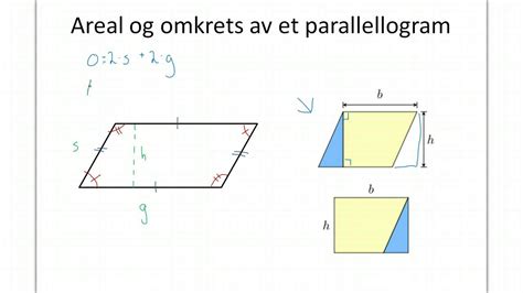 areal og omkrets av  parallellogram youtube