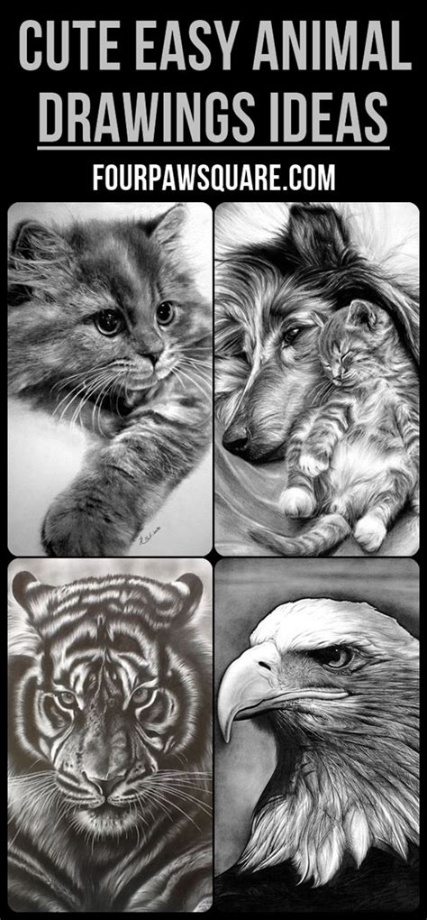 cute easy animal drawings ideas