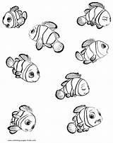 Nemo Buscando Procurando Pintarcolorear Sukses Penyu アクセス Disegnicolorare sketch template