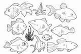 Fish Coloring Printable Cutouts Kids Pages River Popular sketch template