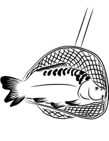 coloring pages printable picture   fishing net