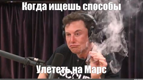 Elon Musk Meme Template Hussein Chester