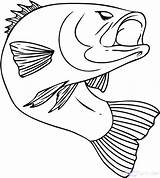 Coloring Fish Funny Pages Getcolorings sketch template