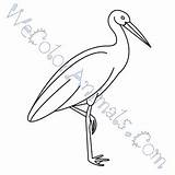Stork Draw Coloring Pages Tutorial Click Step sketch template