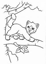 Coloring Pages Cat Frank Lisa Printable Sheets Tree Print Tiger Colouring Girls Animal Kids Clipart Cats Cute Coloringtop Sunflower Horse sketch template