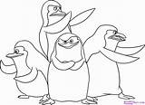 Coloring Pages Penguin Tacky Popular Penguins sketch template