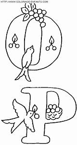Oiseaux Colorat Alfabeto Litere Ninos Desene Pajaros Ludinet Alfabet Plansa Gadgets sketch template