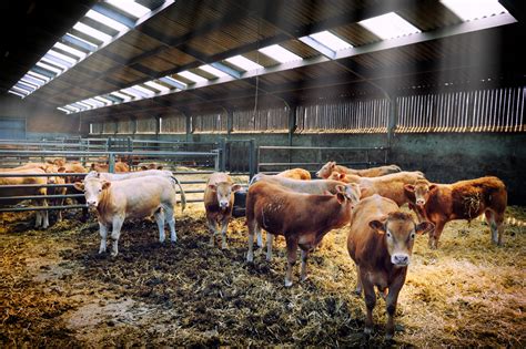 livestock management apps   paid agrierp blog