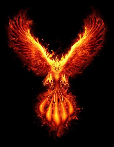 phoenix phoenix artwork phoenix images phoenix wallpaper