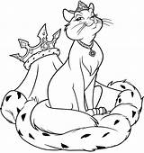 Drawing Cat Royal Expression Animals sketch template