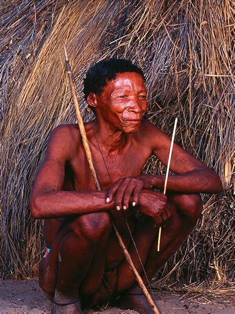 the san bushmen of the kalahari tribal trust foundation