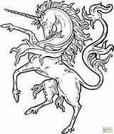 Einhorn Ausmalbilder Ausdrucken Pummel Unicornio Malvorlagen sketch template