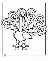 Peacock Coloring Pages Cartoon Kids Summer Gif sketch template