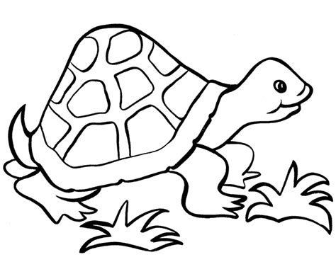 simple turtle coloring pages
