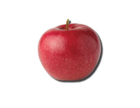 image gallery small apple