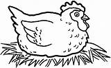Incubating Coloring Chicken Mother Button Through Print Grab Otherwise Could Welcome Right sketch template