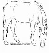 Coloring Mustang Pages Mare Horse Printable Colouring Kids Supercoloring Horses Drawing Designlooter Cute Drawings Version Click Paarden Nature Choose Board sketch template