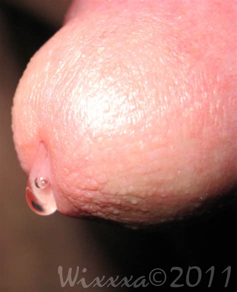 penis head cum close up
