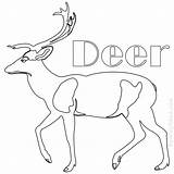 Deer Coloring Pages Antler Printable Getdrawings Color Getcolorings sketch template