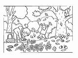 Herfst Bomen Downloaden sketch template