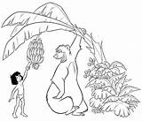 Mowgli Baloo Cartea Colorat Junglei Selva Libro Colorear Planse Giungla Ausmalbild Sheet Kaa Mogli Raskrasil Jungla Banane Mananca Wonder Ausmalen sketch template