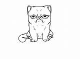 Grumpy Cat Coloring Designlooter 62kb 768px 1024 sketch template