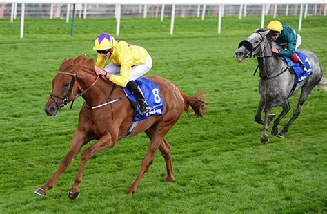 News Sea All Class In Yorkshire Oaks